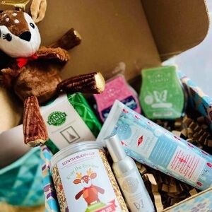 Scentsy’s November 2024 Whiff Box Christmas Gift